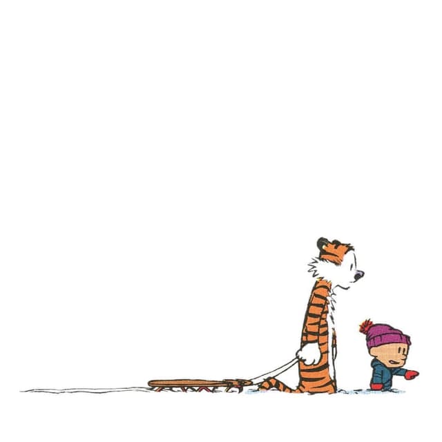 Calvin and Hobbes